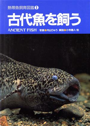 古代魚を飼う熱帯魚飼育図鑑1