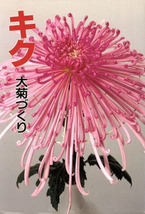 キク 大菊づくり 花作り手帖