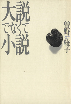 大説でなくて小説