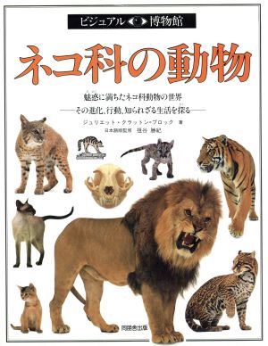 ネコ科の動物ビジュアル博物館29