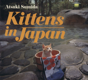 Kittens in Japan