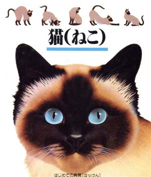 猫 はじめての発見11