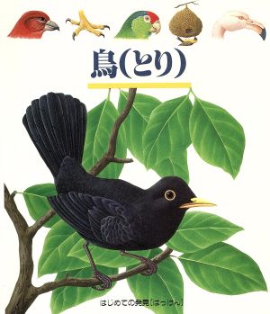 鳥 はじめての発見14