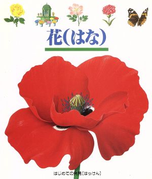 花 はじめての発見15