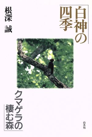 白神の四季 クマゲラの棲む森