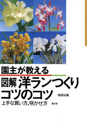 園主が教える図解 洋ランつくりコツのコツ 上手な買い方・咲かせ方