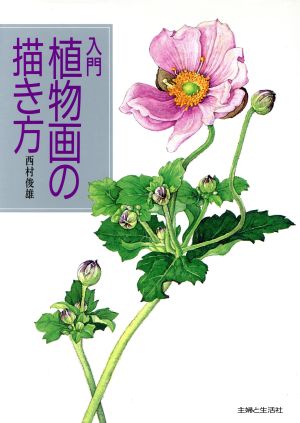 入門 植物画の描き方