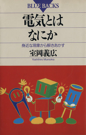電気とはなにか 身近な現象から解きあかす ブルーバックスB-911