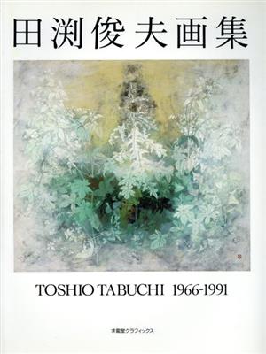 田渕俊夫画集 1966-1991 求龍堂グラフィックス