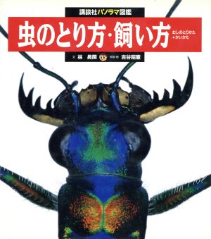 虫のとり方・飼い方講談社パノラマ図鑑21