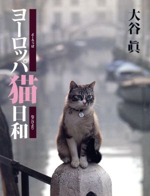 ヨーロッパ猫日和