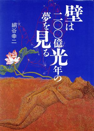 壁は200億光年の夢を見る