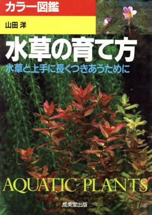 カラー図鑑 水草の育て方 水草と上手に長くつきあうために