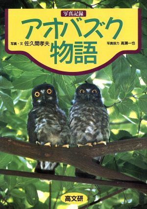 写真記録 アオバズク物語