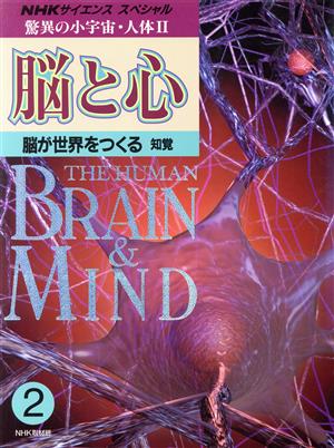 NHKスペシャル 驚異の小宇宙・人体2 脳と心(2) 脳が世界をつくる 知覚