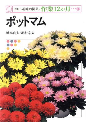 趣味の園芸 ポットマム NHK趣味の園芸 作業12か月38