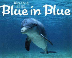 Blue in Blue 風のイルカ