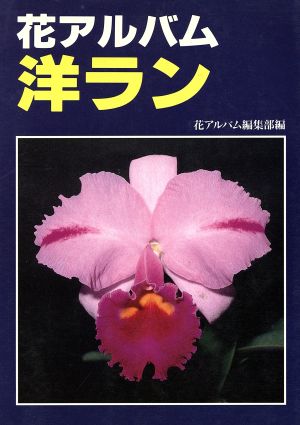 洋ラン 花アルバム