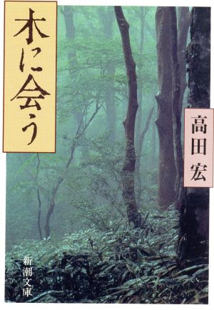 木に会う 新潮文庫