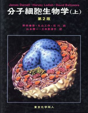 分子細胞生物学 第2版(上)
