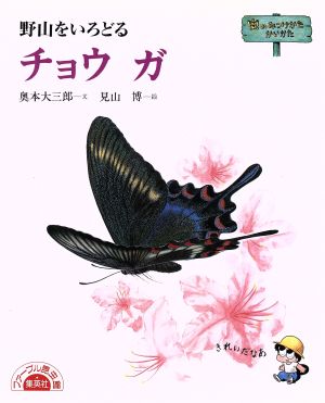 チョウ ガ 野山をいろどる ファーブル昆虫館虫のみつけかたかいかた