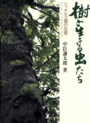 樹と生きる虫たち シャチホコ蛾の生態