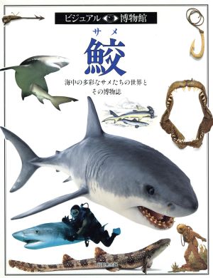 鮫ビジュアル博物館40