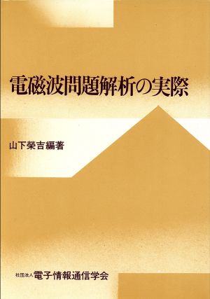 電磁波問題解析の実際