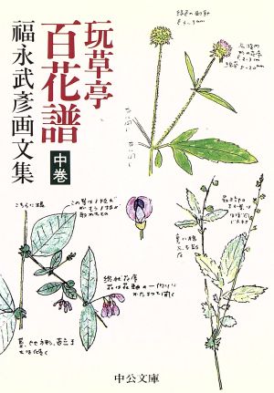 玩草亭 百花譜(中巻)福永武彦画文集中公文庫