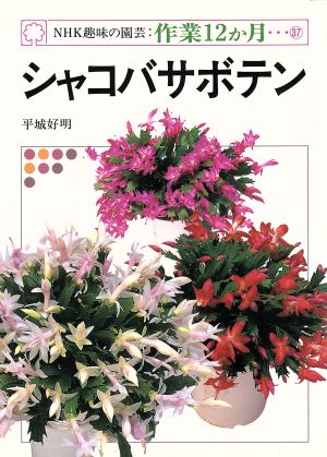 趣味の園芸 シャコバサボテン NHK趣味の園芸 作業12か月37