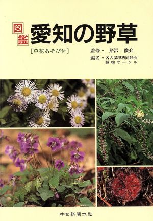 図鑑 愛知の野草