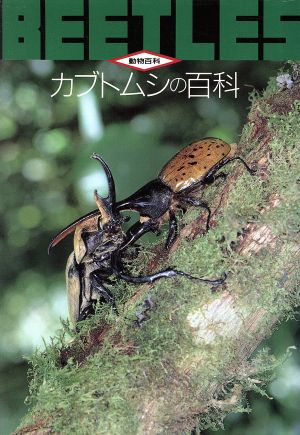 カブトムシの百科 動物百科