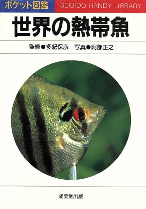 世界の熱帯魚