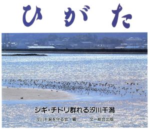 ひがたシギ・チドリ群れる汐川干潟