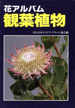 観葉植物花アルバム