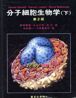 分子細胞生物学 第2版(下)