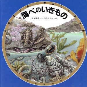 海べのいきもの みるずかん・かんじるずかん