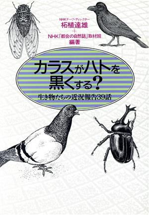 カラスがハトを黒くする？ 生き物たちの近況報告39話