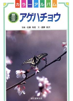 アゲハチョウ カラーアルバム 昆虫