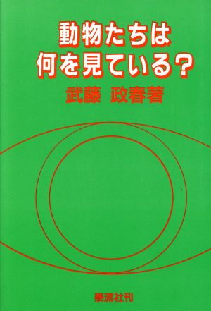 動物たちは何を見ている？