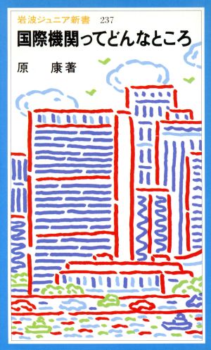 国際機関ってどんなところ 岩波ジュニア新書237