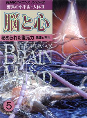 NHKスペシャル 驚異の小宇宙・人体2 脳と心(5) 秘められた復元力 発達と再生