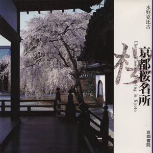 京都桜名所 美しい京都シリーズ