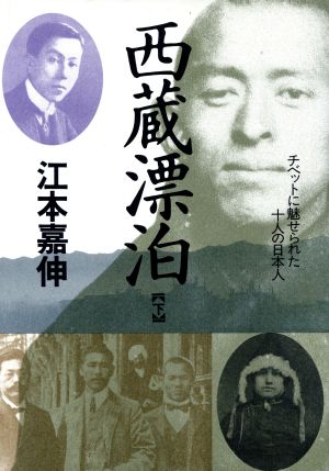 西蔵漂泊(下) チベットに魅せられた十人の日本人