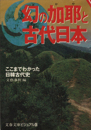 幻の加耶と古代日本ここまでわかった日韓古代史文春文庫ビジュアル版