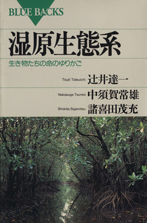 湿原生態系 生き物たちの命のゆりかご ブルーバックス