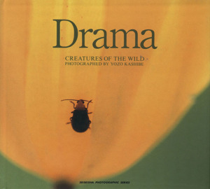 Drama CREATURES OF THE WILD 樫部要蔵写真集 Seiseisha photographic series