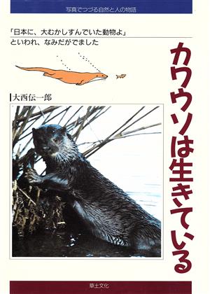 カワウソは生きている 「日本に、大むかしすんでいた動物よ」といわれ、なみだがでました 写真でつづる自然と人の物語