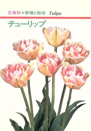 チューリップ 花専科 育種と栽培