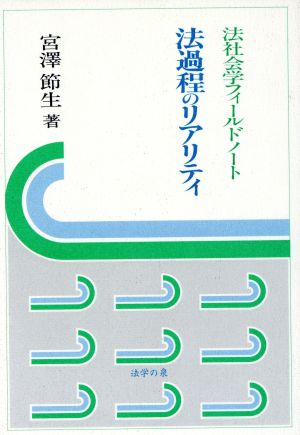 法過程のリアリティ 法社会学フィールドノート 法学の泉